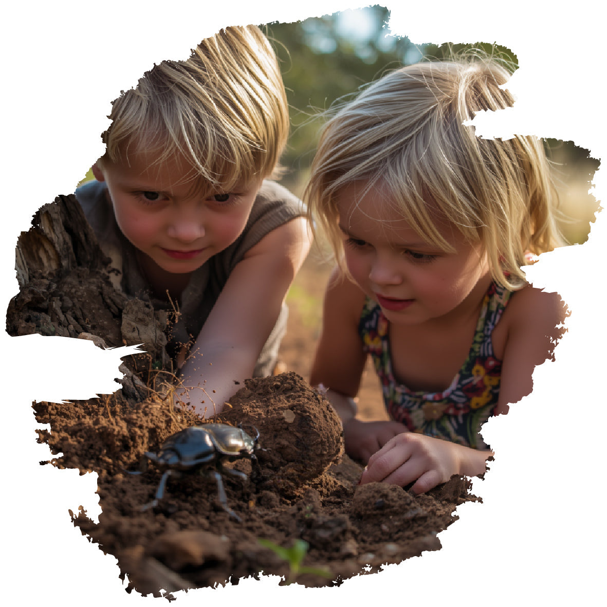 Wild Explorer Club